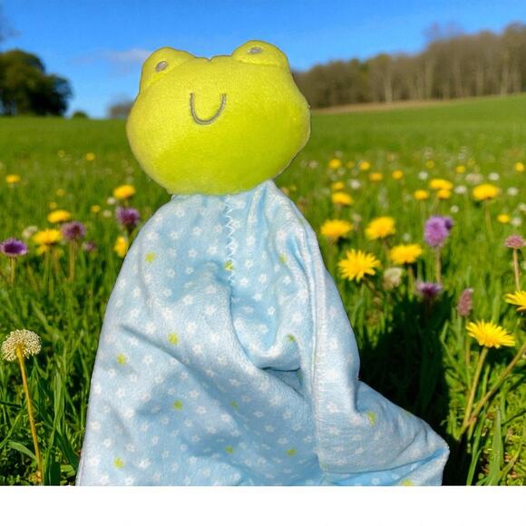 Carter's Other - Carters Precious Firsts Frog Lovey Plush Security Blanket Rattle Stars Infant